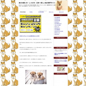 柴犬の飼い方・しつけ方｜日本一詳しい柴犬専門サイト