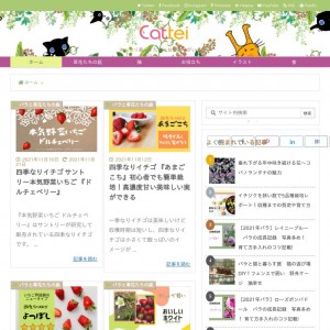 Cattei(チャッテイ)バラと草花の庭ブログ
