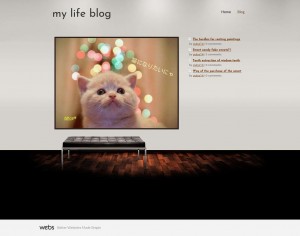 my life blog